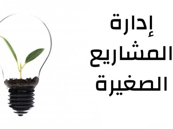 أهمية إدارة المشاريع الصغيرة في مصر