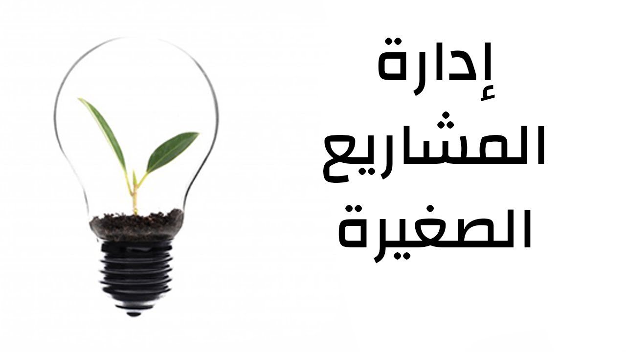 أهمية إدارة المشاريع الصغيرة في مصر