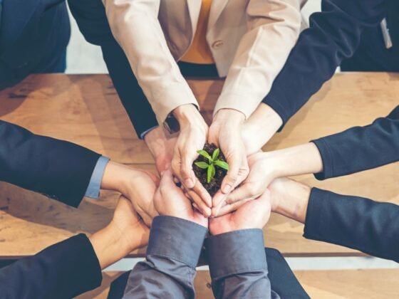 كيف تبني فريق عامل ناجح ومتماسك